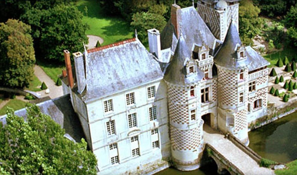 Chateau Des Reaux Chouze-sur-Loire Exterior photo